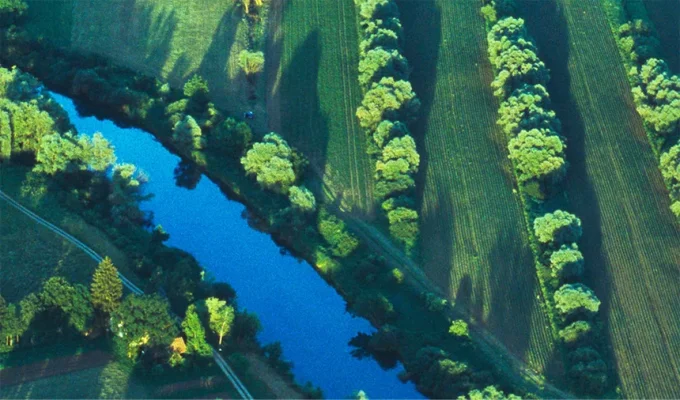 2000